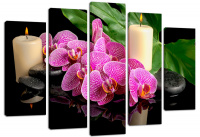 Модульная картина 3 "Орхидеи"